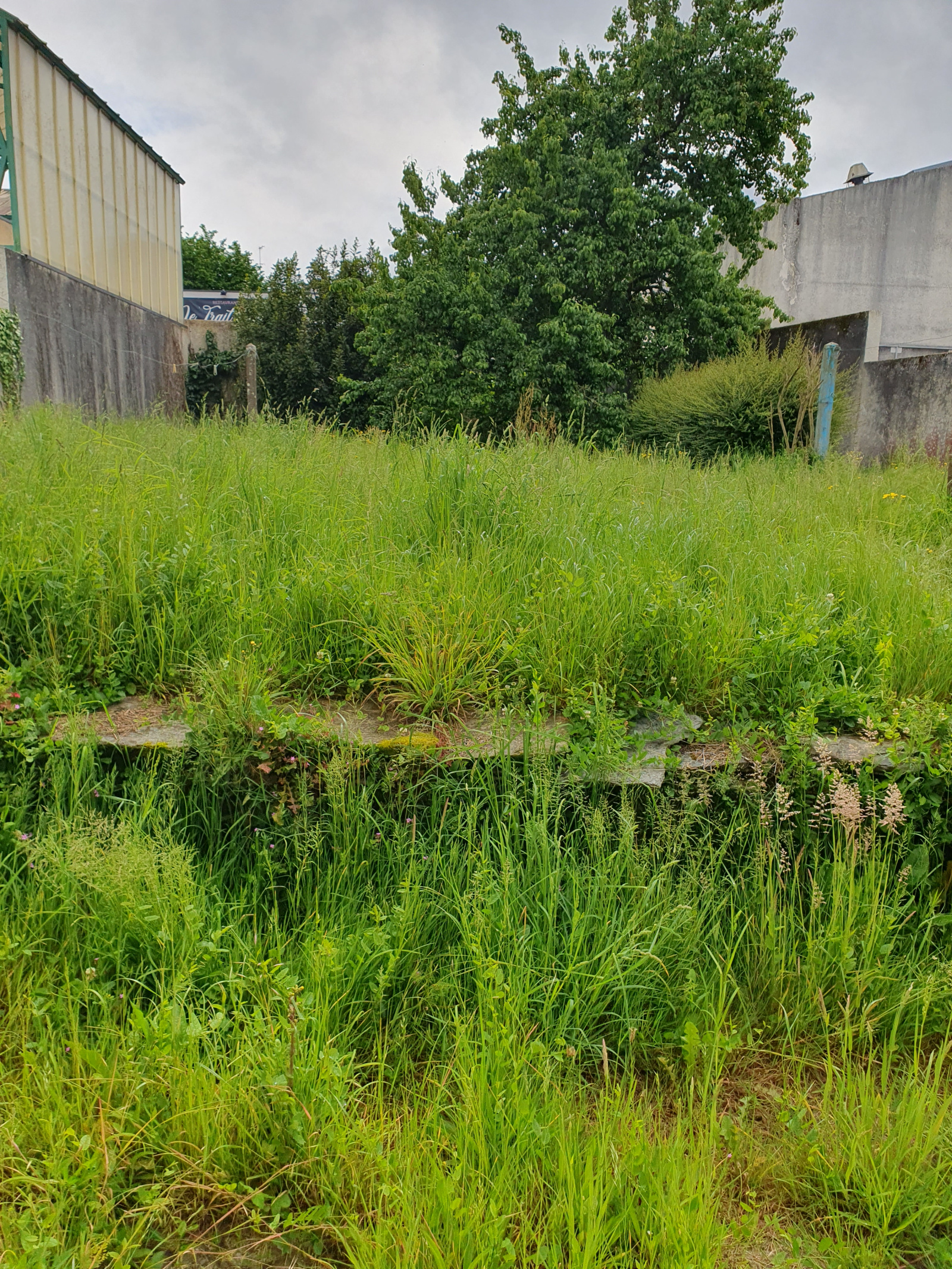 Image_, Appartement, Ploërmel, ref :6189