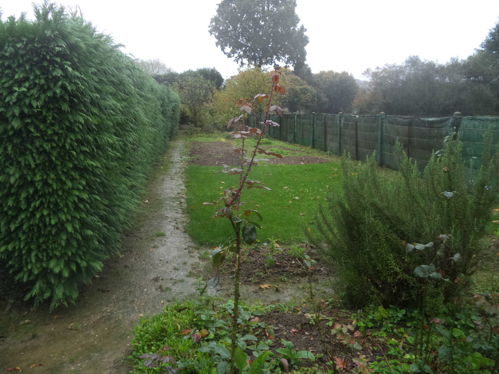 Image_, Maison, Ploërmel, ref :767